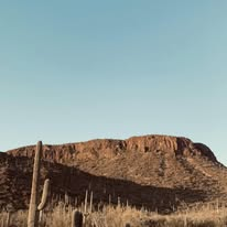 Desert mesa with saguaro cactus at golden hour